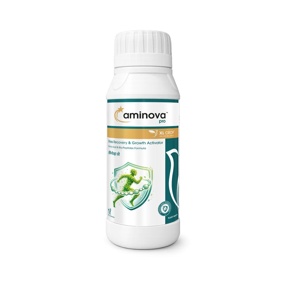 Aminova Pro