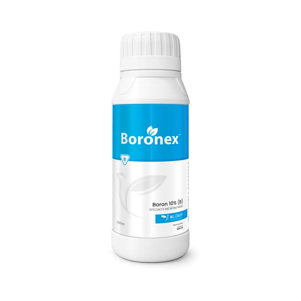 Boronex™