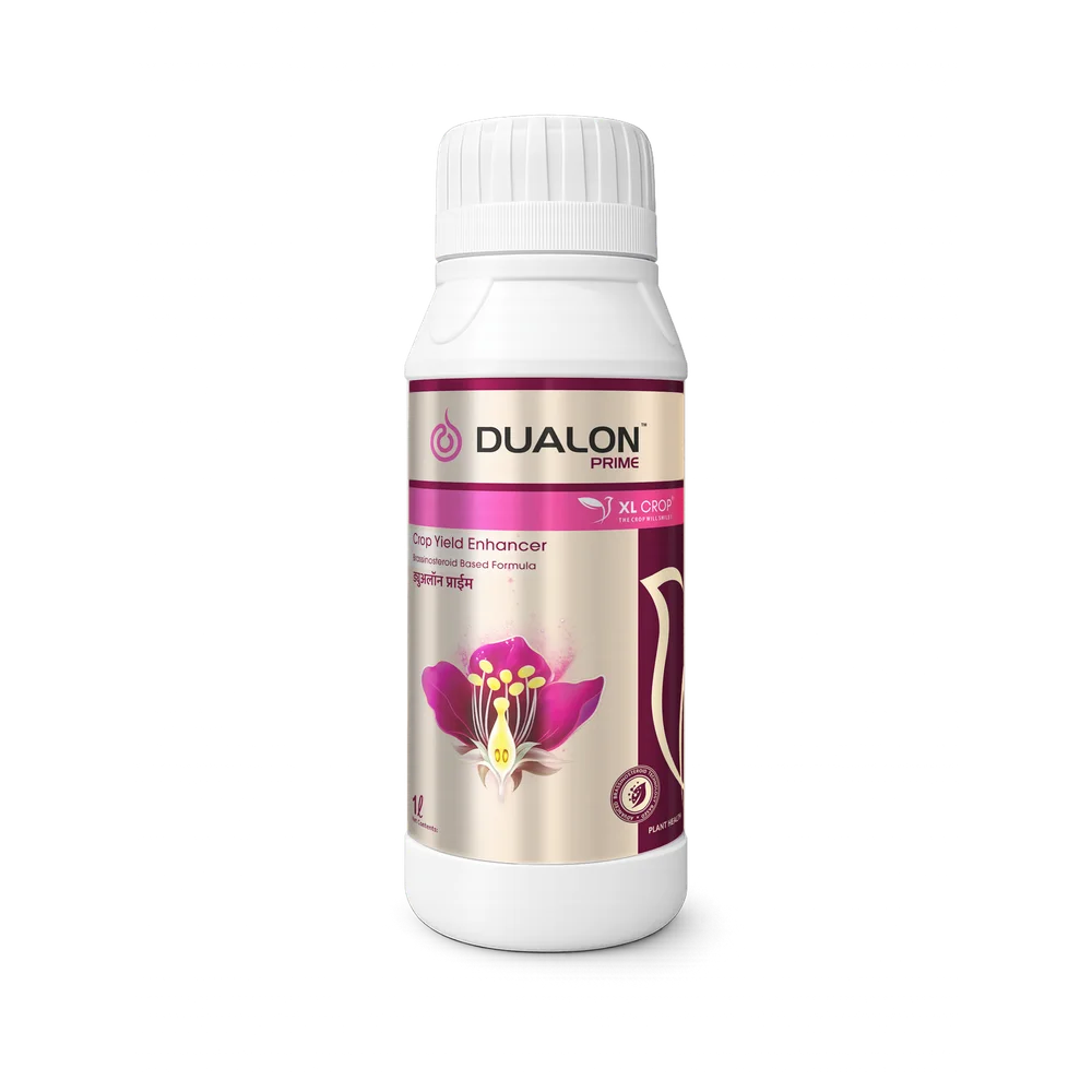 Dualon Prime visual