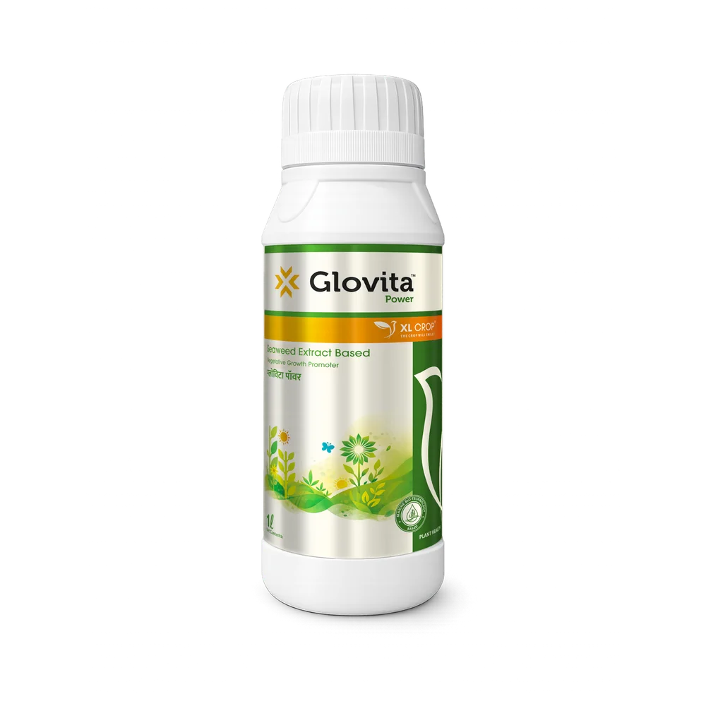 Glovita Power